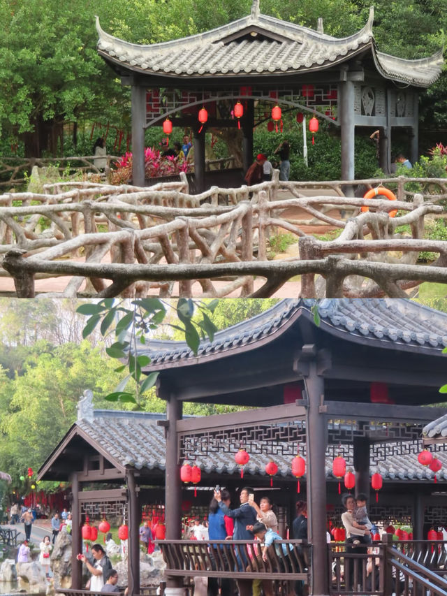 廣東隱世仙境!高州鳳凰園美到窒息 廣東隱世仙境!高州鳳凰園美到窒息