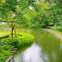 廈門大學|芙蓉湖拍黑天鵝,芙蓉隧道看塗鴉,上弦場打卡流星雨同款