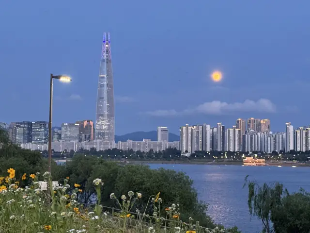 漢江濱江公園柔風漫行指南：邂逅江畔詩意與城市煙火