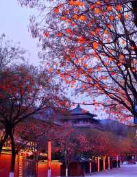 西安華清宮攻略：唐風盛宴、性價比住宿，玩轉皇家園林！
