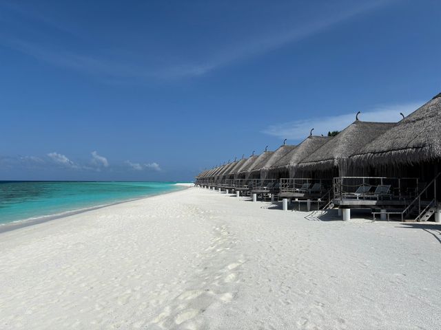 Favorite Spot in the Maldives: Constance Moofushi