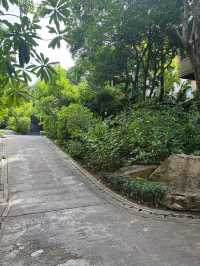 Exceptional Service at Vana Belle Resort