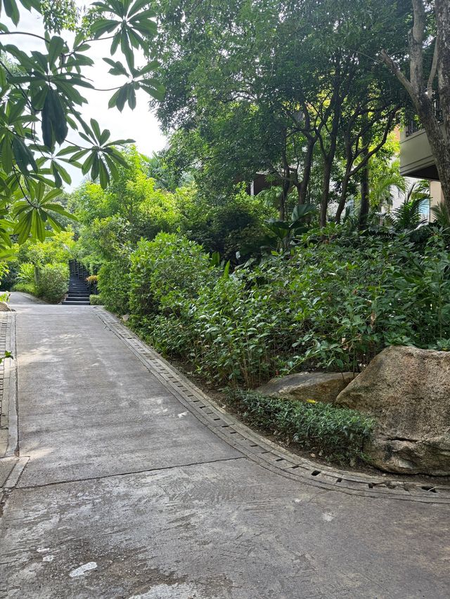 Exceptional Service at Vana Belle Resort