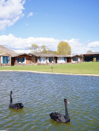 A romantic holiday between snowy mountains and grasslands, living in a beautiful painting!