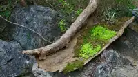 三月來崇左｜住進山水畫的正確姿勢