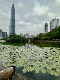 Lychee Park Shenzhen