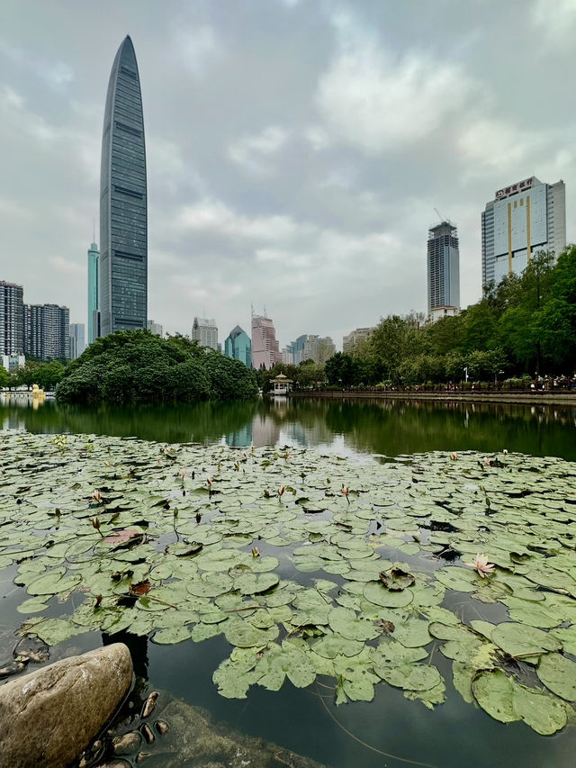 Lychee Park Shenzhen