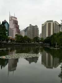 Lychee Park Shenzhen