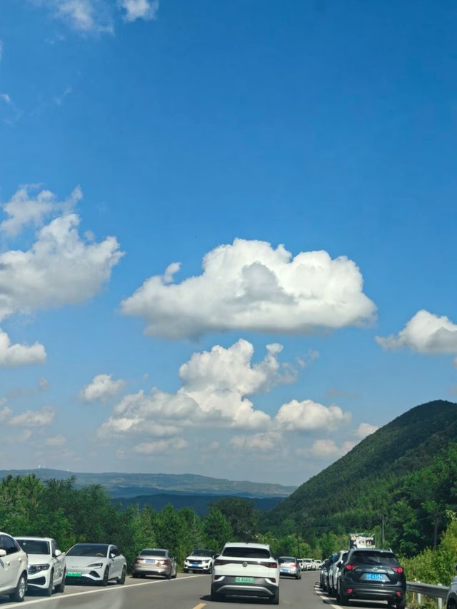 【六盤山國家森林公園|西北秘境的綠野 【六盤山國家森林公園|西北秘境的綠野