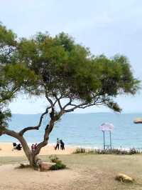 來廈門！！黃厝溪頭下小眾海灘美到窒息