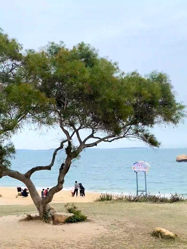 來廈門！！黃厝溪頭下小眾海灘美到窒息