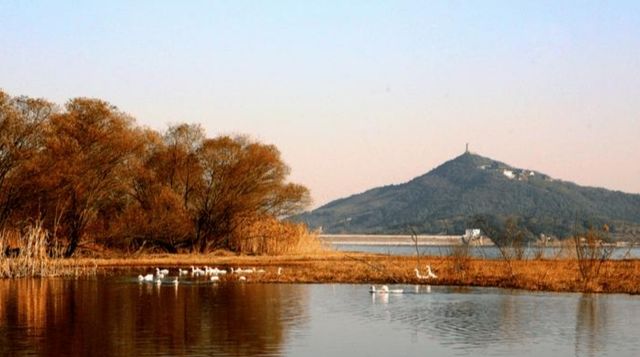 太湖落日觀鳥絕佳地