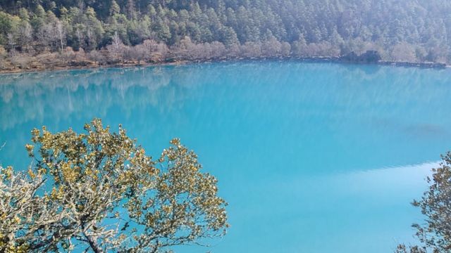 爆讚！玉龍雪山藍月谷10年對比驚豔所有人