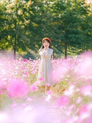 A Pink Sea of Flowers Near Seoul Meets the Romance of Autumn and Yulgok Wetland Park