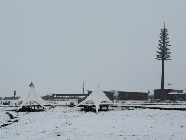 下雪的伊犁那拉提空中草原