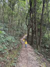 親子徒步好去處上帽峰山尋廣州早秋