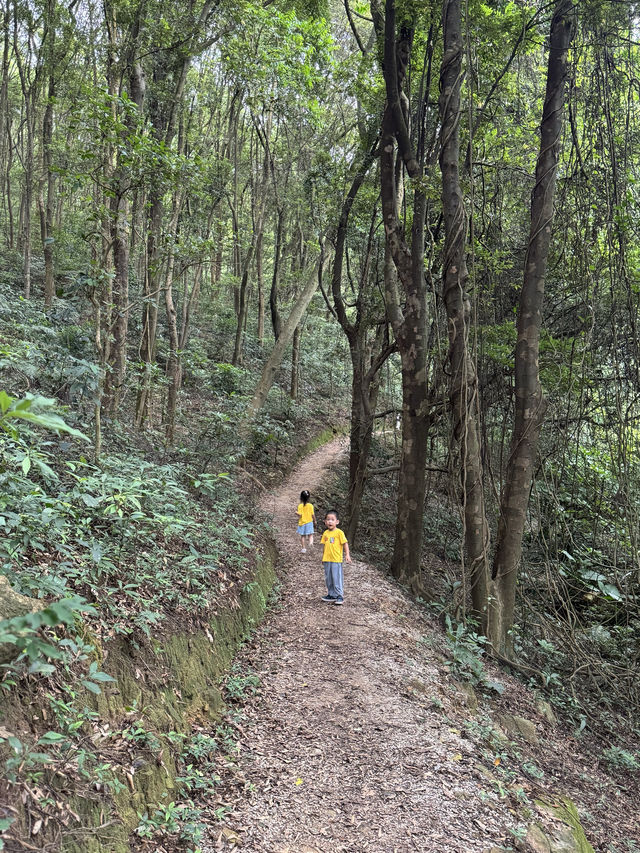 親子徒步好去處上帽峰山尋廣州早秋