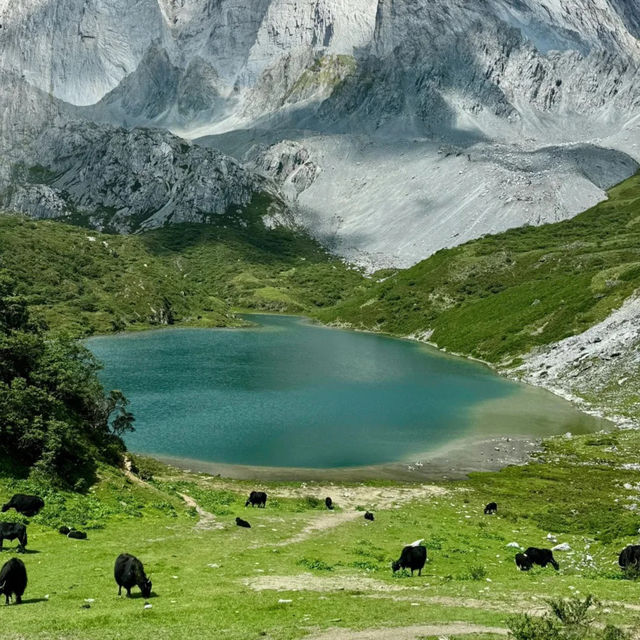 🇨🇳아부지츠에서 만난 인생 최고의 풍경!🏔️ 호수와 설산의 완벽한 조화