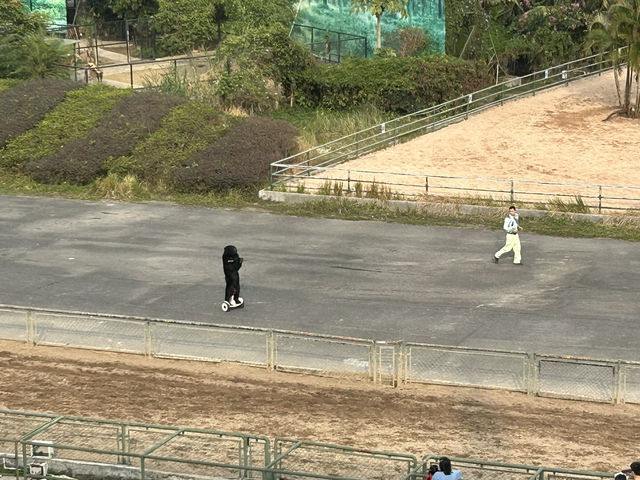 🐅 深圳野生動物園｜邊喝咖啡邊看「百獸盛宴」的奇幻體驗