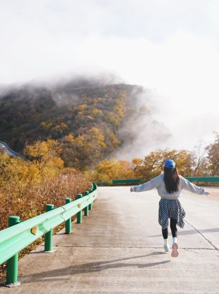 A Day Trip from Chengdu to the Stunning Oil Painting-Like Colorful Forest Hike