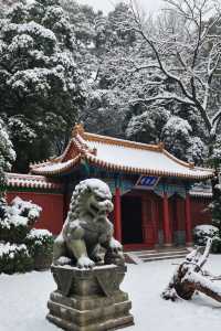嵩山雪後仙境｜錯過等一年武俠片現場！