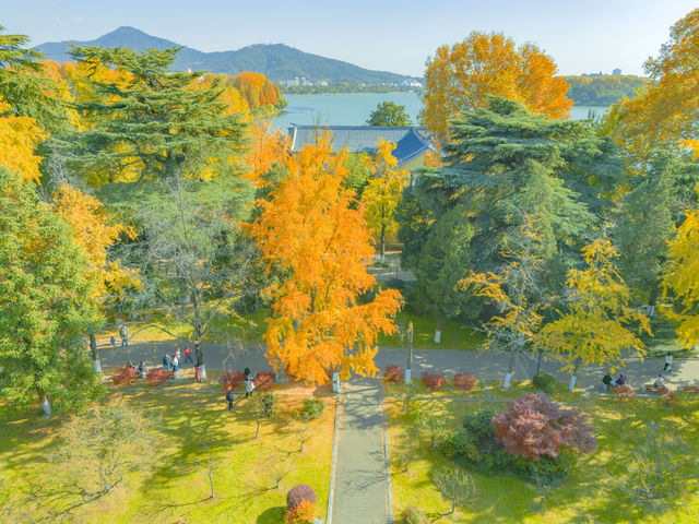 南京玄武湖公園拍照打卡，秋天來這裡感受湖邊的溫柔。