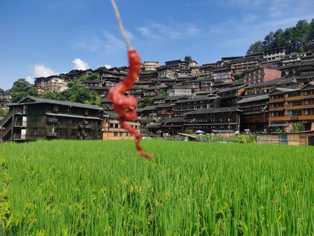 貴州必去！梵淨山+千戶苗寨3日遊，雲霧繚繞嘅人間仙境超正 Day1：貴陽→梵淨山 梵淨山（