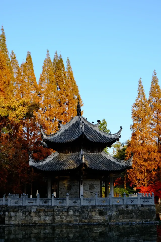 郊野園林第一家的習家池之秋太美囉！！