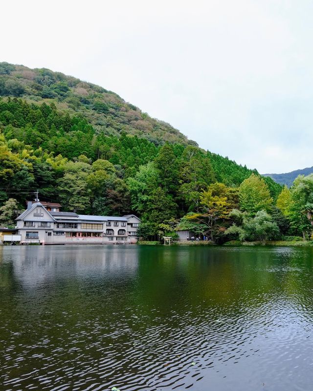 獨行日本的小確幸|在湯布院邂逅一個人的浪漫 獨行日本的小確幸|在湯布院邂逅一個人的浪漫