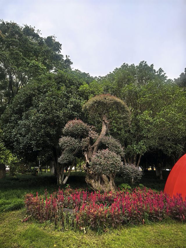 張家港，和平廣場