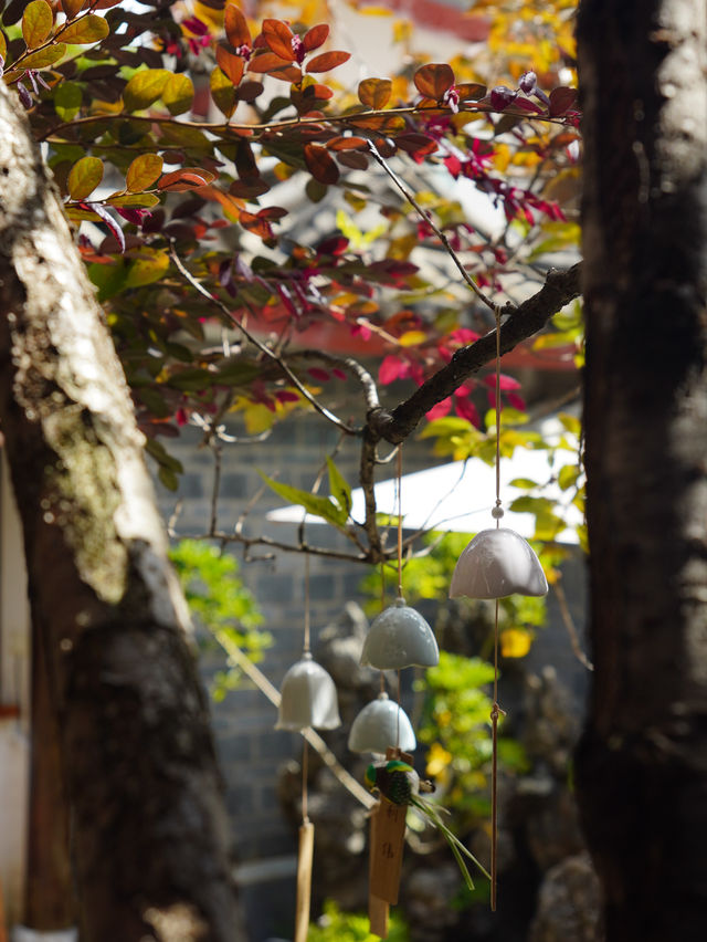 麗江古城的納西風情四合院|豆花名宿 麗江古城的納西風情四合院|豆花名宿