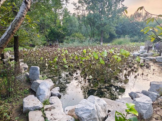 一亭藏千年,半步遇詩仙:范公亭公園指南 一亭藏千年,半步遇詩仙:范公亭公園指南