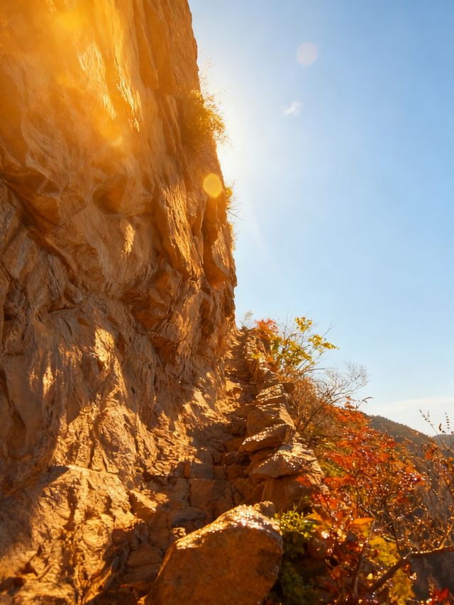 秋日邯鄲古建賞楓