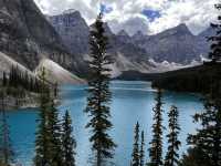 加拿大雙湖一日遊｜路易斯湖划船+偶遇小熊！小費&觀熊攻略都在