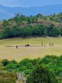 南昌週末去哪兒？江西阿勒泰藝術館！