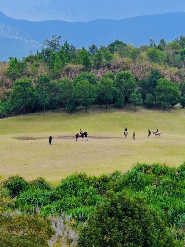 南昌週末去哪兒？江西阿勒泰藝術館！