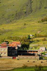 日落剪影絕美打卡點