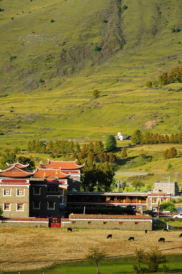 日落剪影絕美打卡點 日落剪影絕美打卡點