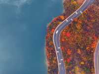 【秋染子房湖｜墜入山水畫裡的治癒時光】