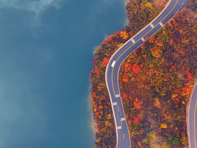 【秋染子房湖｜墜入山水畫裡的治癒時光】