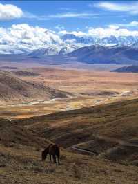 深秋徒步冷嘎措人間仙境真的太出片了！