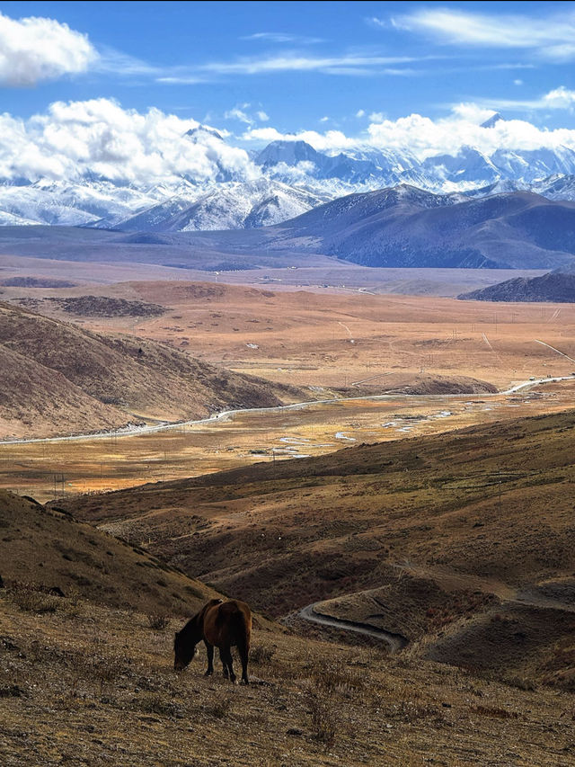 深秋徒步冷嘎措人間仙境真的太出片了！
