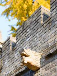 西安古觀音禪寺，銀杏天花板！