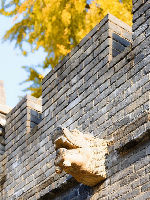 西安古觀音禪寺，銀杏天花板！