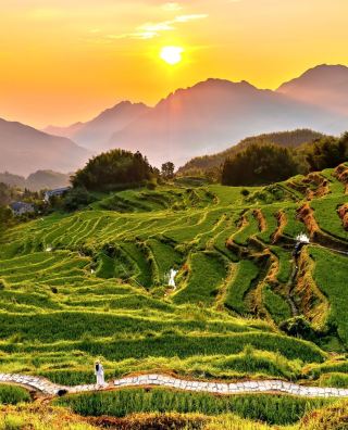 จานสีที่พระเจ้าหกใส่! คู่มือแนะนำนาขั้นบันไดหยุนเหอ 2 วัน 1 คืน เจาะลึกทุกรายละเอียด หลีกเลี่ยงปัญหาจุกจิกกวนใจ