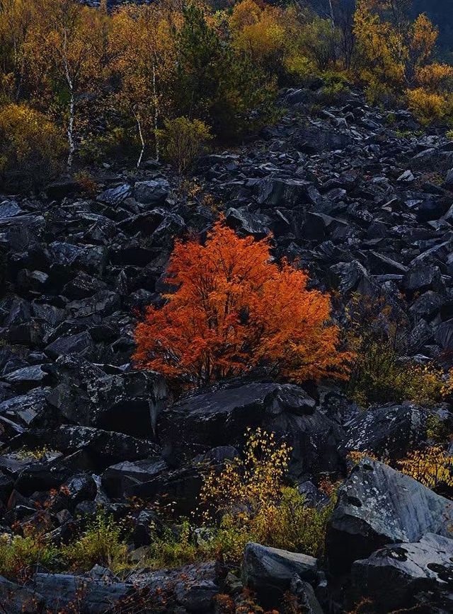 川西小眾秘境｜松坪溝的秋天美到窒息