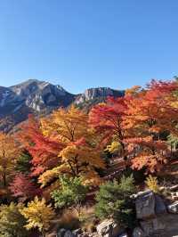 別再去香山了！北京免費紅葉秘境絕美
