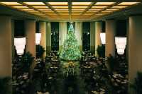 魔都外灘半島酒店超大聖誕樹已就位