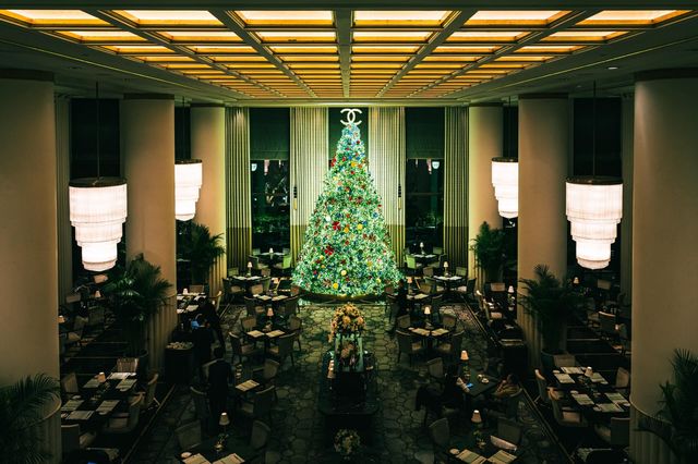 魔都外灘半島酒店超大聖誕樹已就位 魔都外灘半島酒店超大聖誕樹已就位