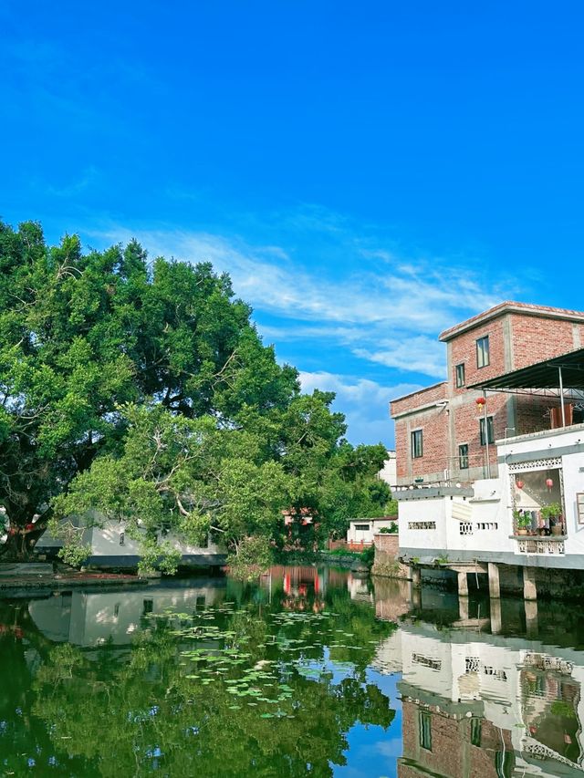 探秘嶺南理學第一村 探秘嶺南理學第一村